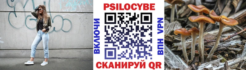 Галлюциногенные грибы мицелий  купить   Боровск 