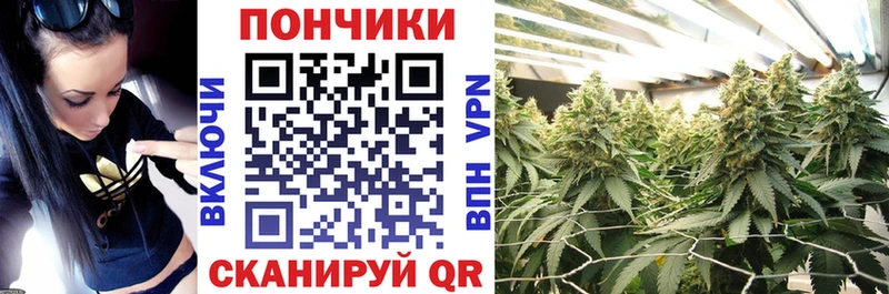 Каннабис планчик  купить  сайты  Боровск 